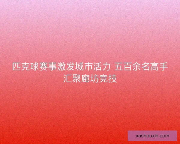 匹克球赛事激发城市活力 五百余名高手汇聚廊坊竞技 匹克球赛事激发城市活力 五百余名高手汇聚廊坊竞技